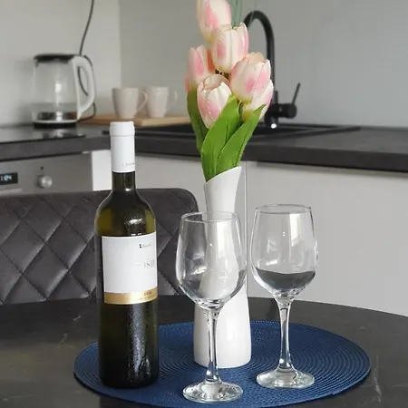 Apartament Mna